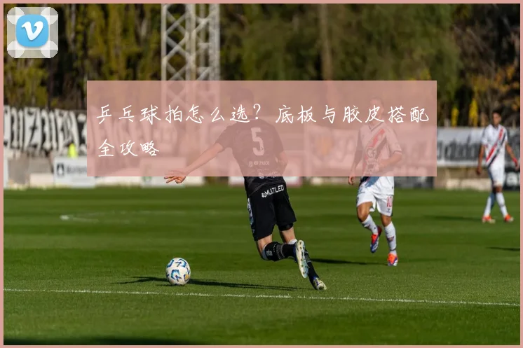 乒乓球拍怎么选?底板与胶皮搭配全攻略