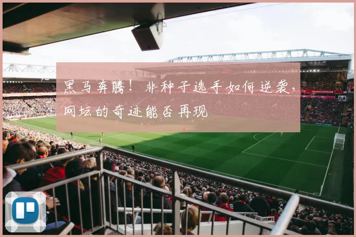黑马奔腾！非种子选手如何逆袭，网坛的奇迹能否再现
