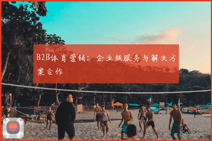 B2B体育营销：企业级服务与解决方案合作
