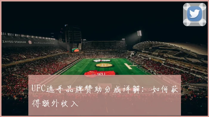 UFC选手品牌赞助分成详解：如何获得额外收入