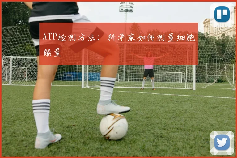 ATP检测方法：科学家如何测量细胞能量