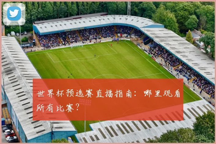 世界杯预选赛直播指南:哪里观看所有比赛?