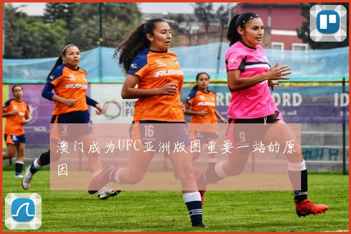 澳门成为UFC亚洲版图重要一站的原因