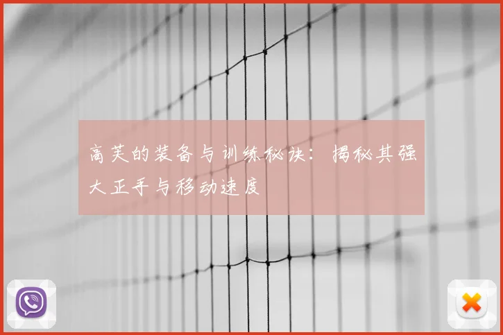 高芙的装备与训练秘诀：揭秘其强大正手与移动速度