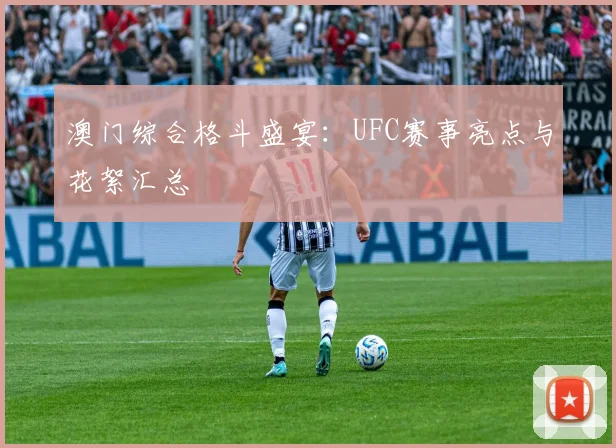 澳门综合格斗盛宴：UFC赛事亮点与花絮汇总