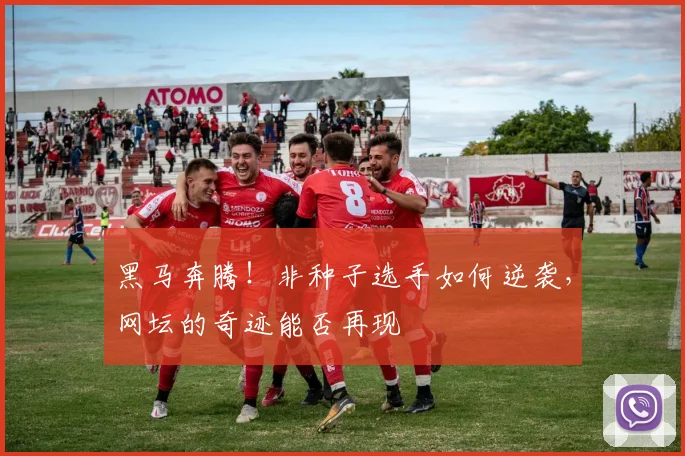 黑马奔腾！非种子选手如何逆袭，网坛的奇迹能否再现