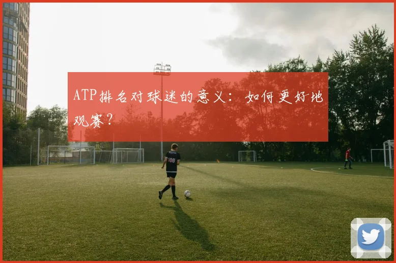 ATP排名对球迷的意义：如何更好地观赛？