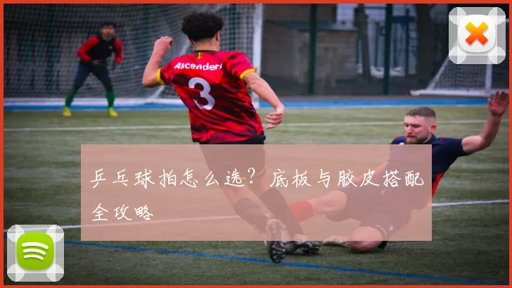 乒乓球拍怎么选?底板与胶皮搭配全攻略