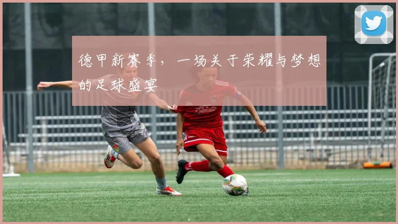 德甲新赛季，一场关于荣耀与梦想的足球盛宴