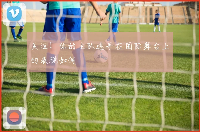 关注!你的主队选手在国际舞台上的表现如何