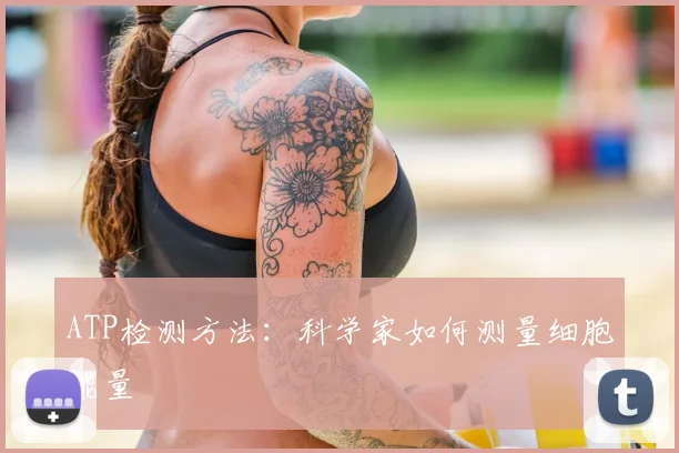 ATP检测方法：科学家如何测量细胞能量