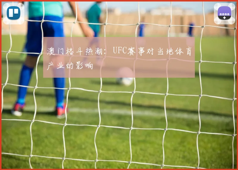 澳门格斗热潮：UFC赛事对当地体育产业的影响